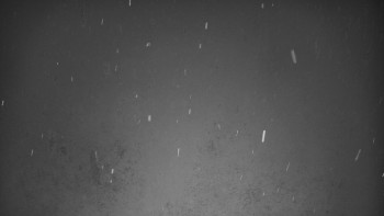 Ski areál U Sachovy studánky