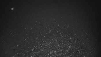 Ski areál U Sachovy studánky