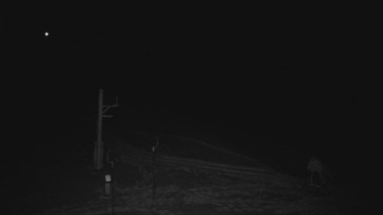 Ski areál U Sachovy studánky