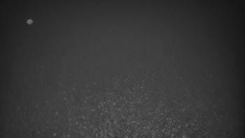 Ski areál U Sachovy studánky