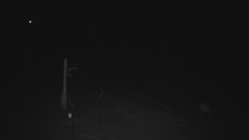 Ski areál U Sachovy studánky