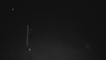 Ski areál U Sachovy studánky