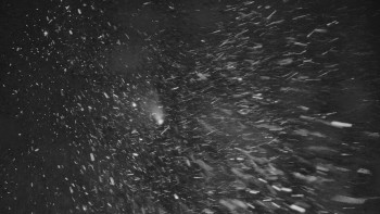 Ski areál U Sachovy studánky