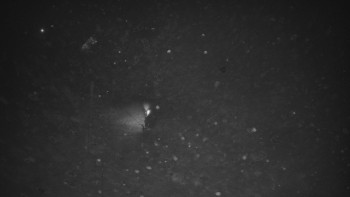 Ski areál U Sachovy studánky