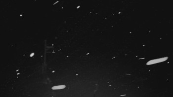 Ski areál U Sachovy studánky