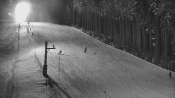 Ski areál U Sachovy studánky