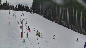Ski areál U Sachovy studánky