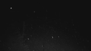 Ski areál U Sachovy studánky