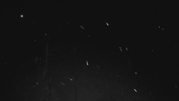 Ski areál U Sachovy studánky