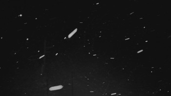 Ski areál U Sachovy studánky