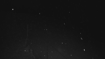 Ski areál U Sachovy studánky