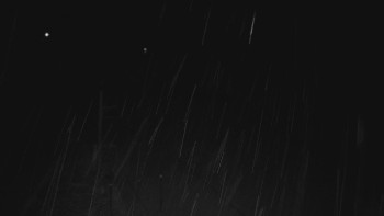 Ski areál U Sachovy studánky