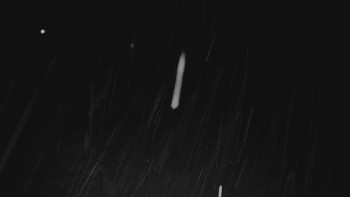 Ski areál U Sachovy studánky