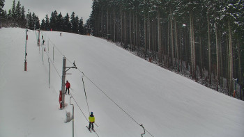 Ski areál U Sachovy studánky