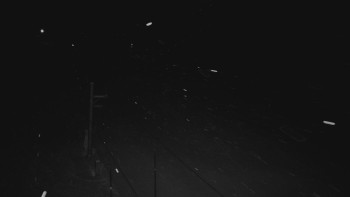 Ski areál U Sachovy studánky