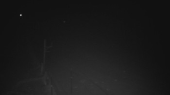 Ski areál U Sachovy studánky