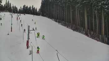 Ski areál U Sachovy studánky