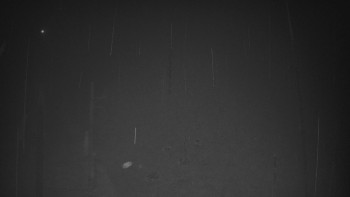 Ski areál U Sachovy studánky