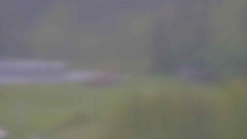 Snímek    15.5.2025 v 09:01
