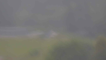 Snímek    17.7.2025 v 16:31