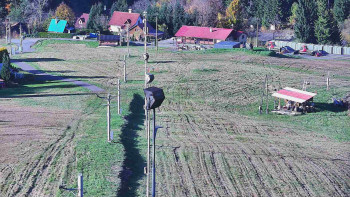 Snímek    19.10.2025 v 15:31