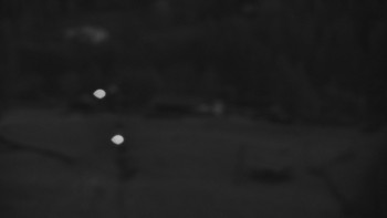 Snímek    2.11.2025 v 06:01