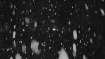 Snímek 23.11.2025 v 01:01