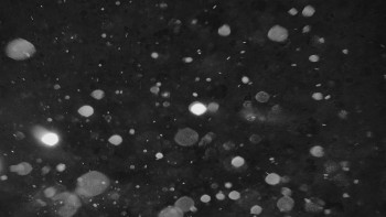 Snímek 23.11.2025 v 05:01