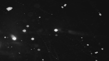 Snímek    23.11.2025 v 06:01