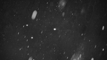 Ski areál U Sachovy studánky