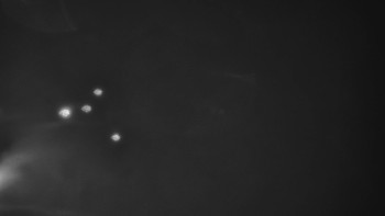 Ski areál U Sachovy studánky