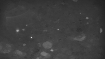 Ski areál U Sachovy studánky