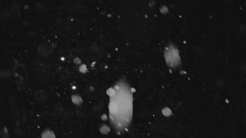 Ski areál U Sachovy studánky