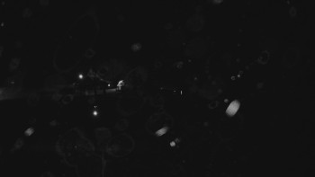 Ski areál U Sachovy studánky