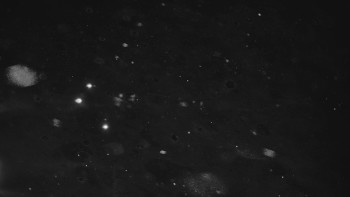 Ski areál U Sachovy studánky