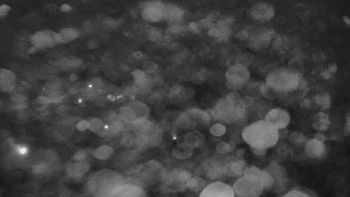 Ski areál U Sachovy studánky