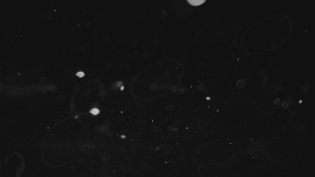 Ski areál U Sachovy studánky