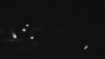 Ski areál U Sachovy studánky