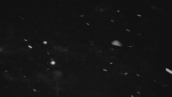 Ski areál U Sachovy studánky