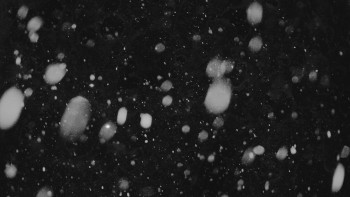 Ski areál U Sachovy studánky