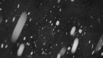 Ski areál U Sachovy studánky