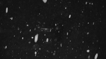 Ski areál U Sachovy studánky