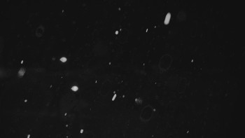 Ski areál U Sachovy studánky