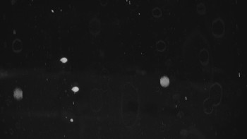 Ski areál U Sachovy studánky