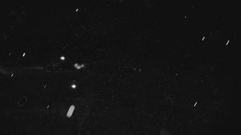 Ski areál U Sachovy studánky