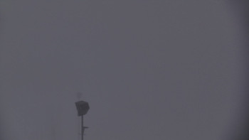 Ski areál U Sachovy studánky