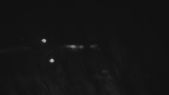 Ski areál U Sachovy studánky