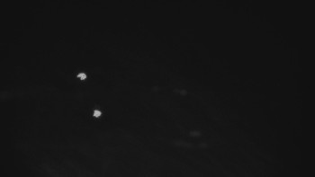 Ski areál U Sachovy studánky