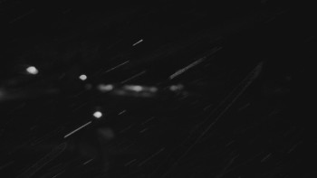 Ski areál U Sachovy studánky