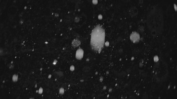 Ski areál U Sachovy studánky